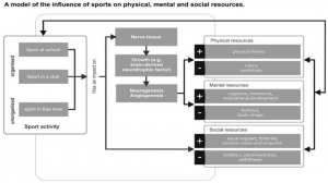 Read more about the article Regular physical activity enhances cognition in children